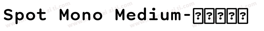 Spot Mono Medium字体转换